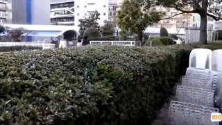 蛇魔追魂阵1992香港三级片